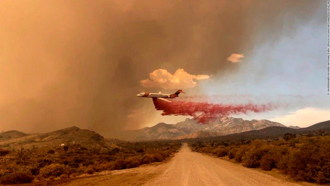 Iconic Joshua trees burned by massive wildfire spreading across Mojave Desert