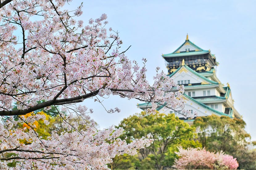 Japan faces its warmest autumn on record, impacting tourism: What new you need to know?