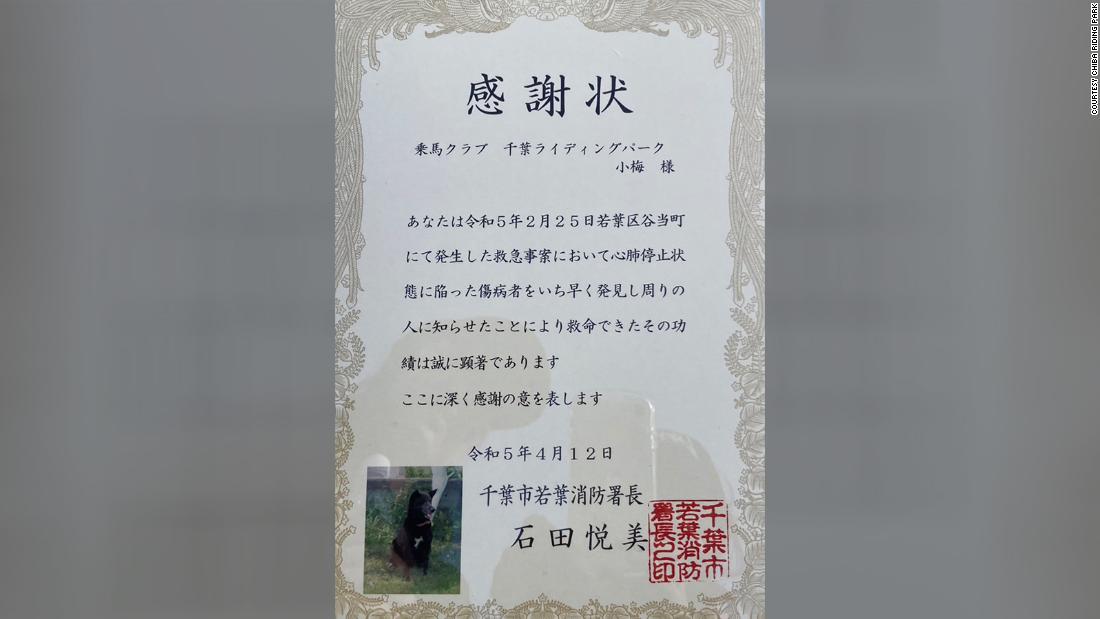 Japanese dog hailed a hero for saving the life of heart attack victim at a riding school