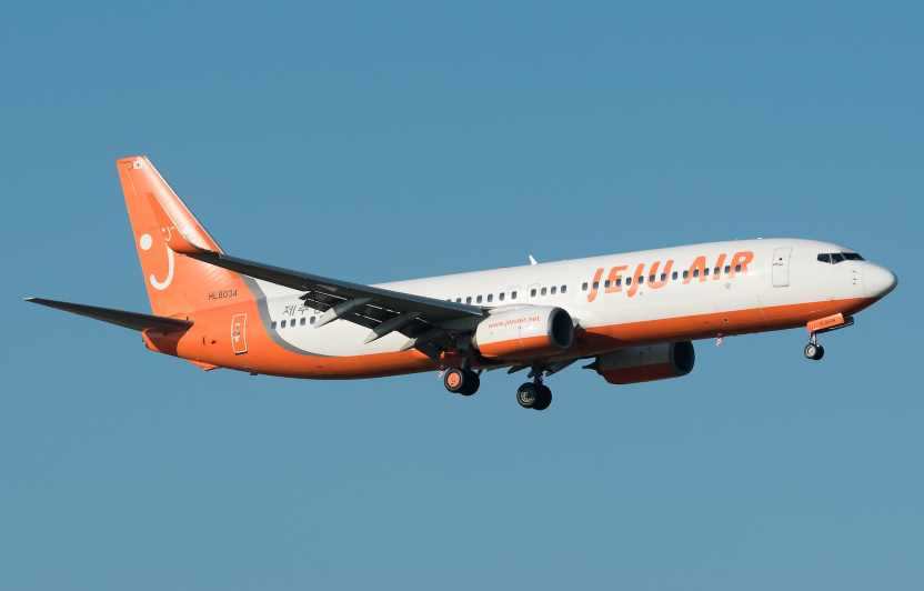 Jeju Air crash new updates: Preliminary report suggests bird strike as the primary cause