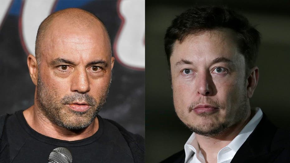 Joe Rogan, Elon Musk wonder why journalists aren't 'celebrating' DOGE targeting wasted tax dollars