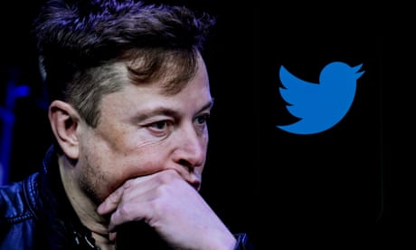 Judge halts Elon Musk-Twitter litigation to allow time to finance $44bn takeover