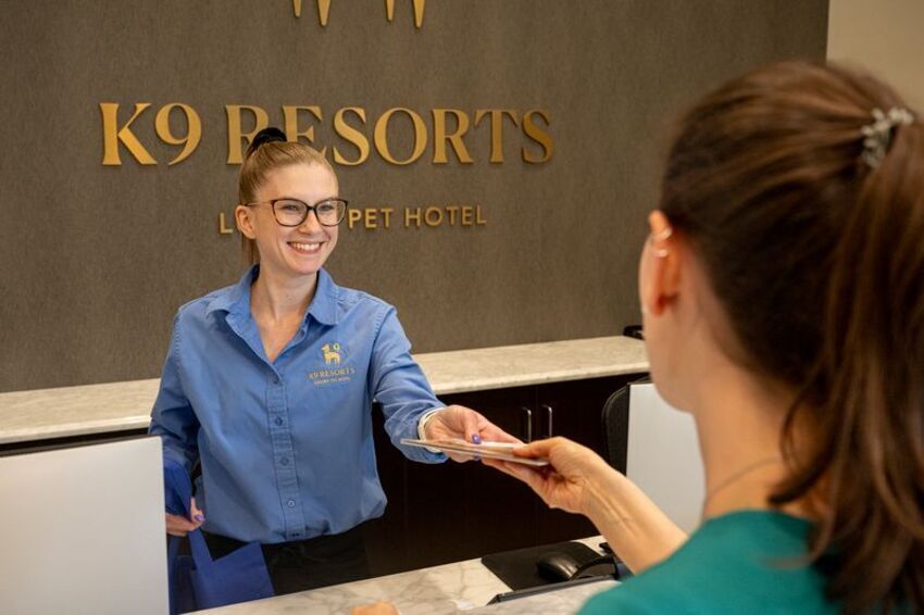 K9 Resorts Expands Across Connecticut with New Locations in Fairfield, New Haven and Hartford