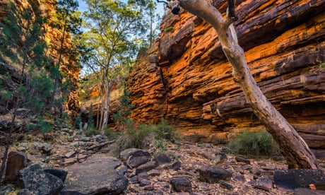 Labor to set up independent environmental protection agency and restore ‘trust and confidence’