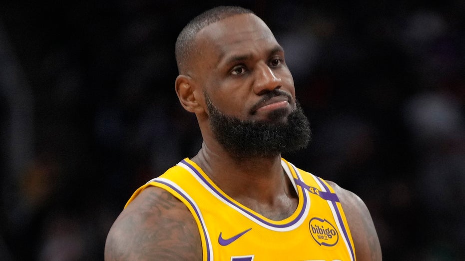 LeBron James weighs in on Harris election defeat, posts photo with daughter: 'We don't need their help'