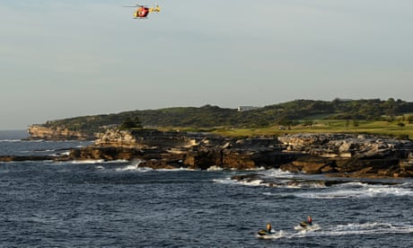 Little Bay shark attack: Sydney beaches closed as lifeguards patrol for further sightings