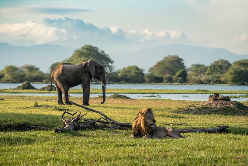 Liwonde National Park upgrades: Malawi's conservation and tourism growth in 2024-25