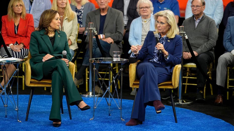 Liz Cheney predicts 'millions of Republicans' will vote for Harris: 'Vote your conscience'