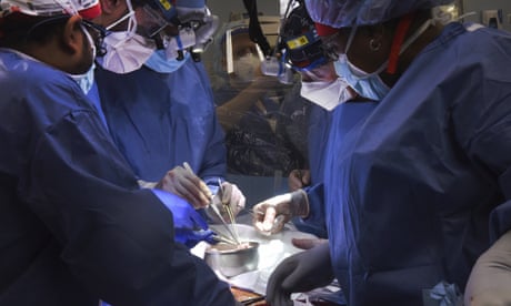 Maryland doctors transplant pig?s heart into human patient in medical first