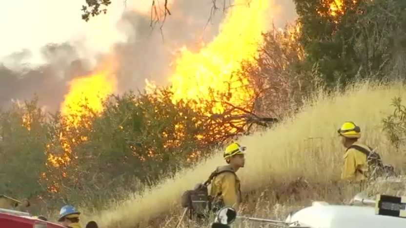 Meet CAL FIRE's Aerial Heroes: The Aircraft Fleet Battling California's Wildfires