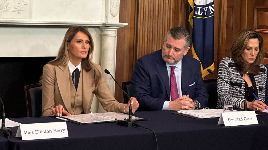 Melania Trump speaks on Capitol Hill for first time in roundtable focused on punishing revenge porn