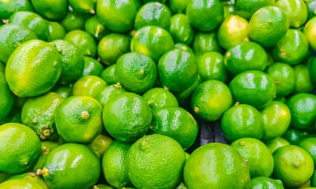 Mexico lime inflation leaves sour taste as cartels gouge prices for cuisine staple