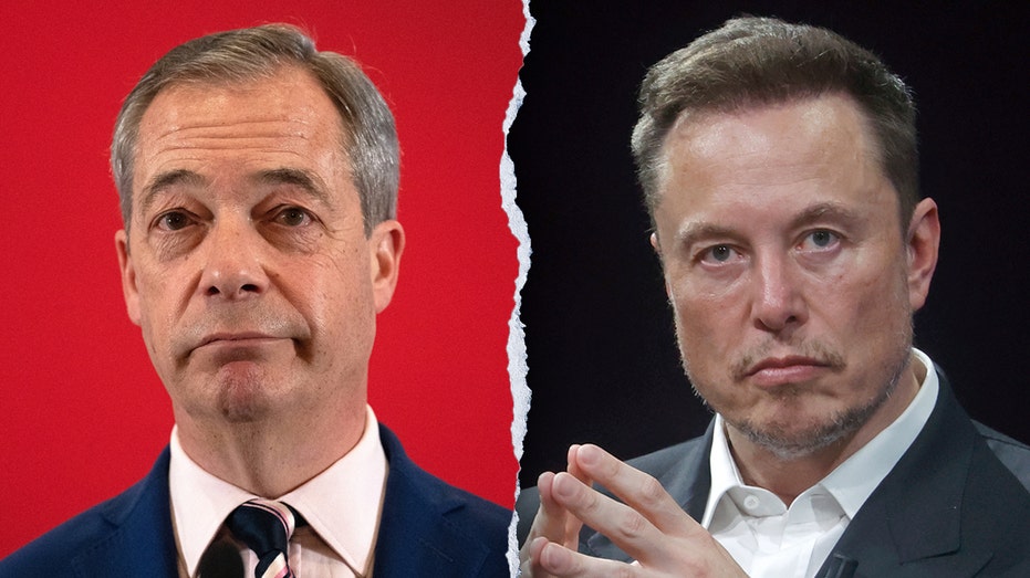 'Mr. Brexit' advocates for UK DOGE over 'complete waste' of taxpayer money