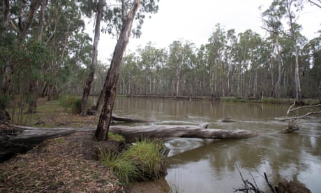 Murray-Darling Basin plan: Victoria will struggle to meet water delivery obligations by deadline