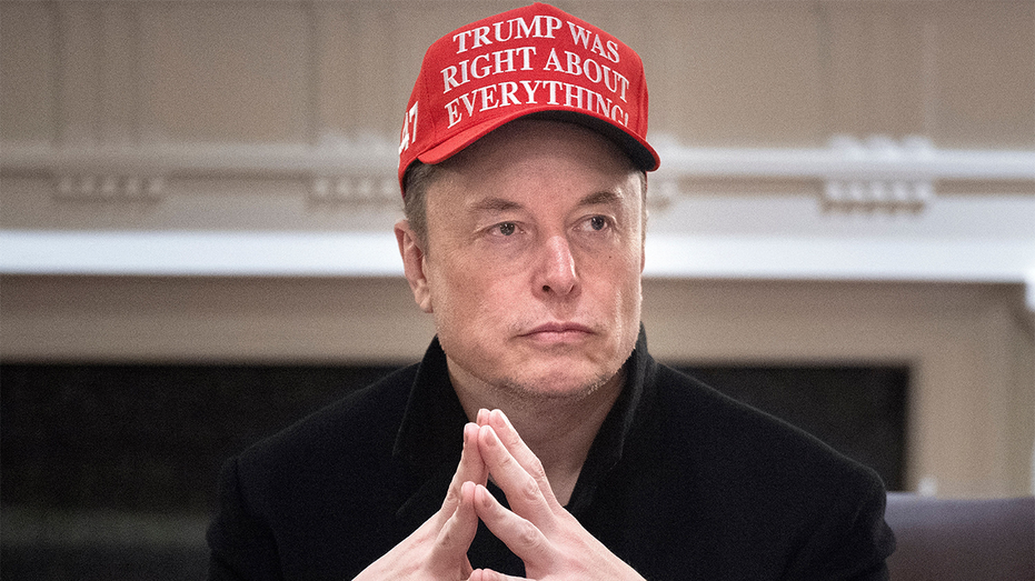 Musk's political baggage: Polls show Americans sour on Trump's most visible advisor