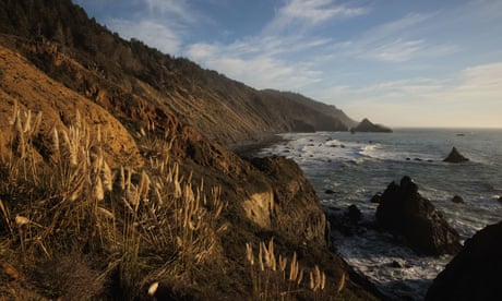 Native American tribes reclaim California redwood land for preservation