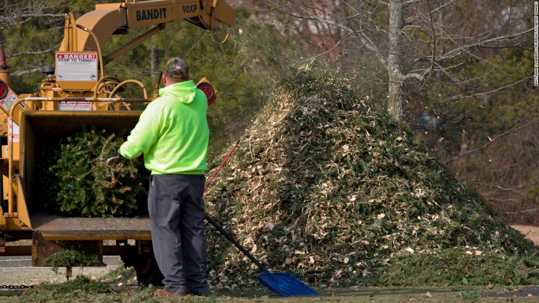 Natural vs. artificial: Which Christmas tree option is better for the climate?