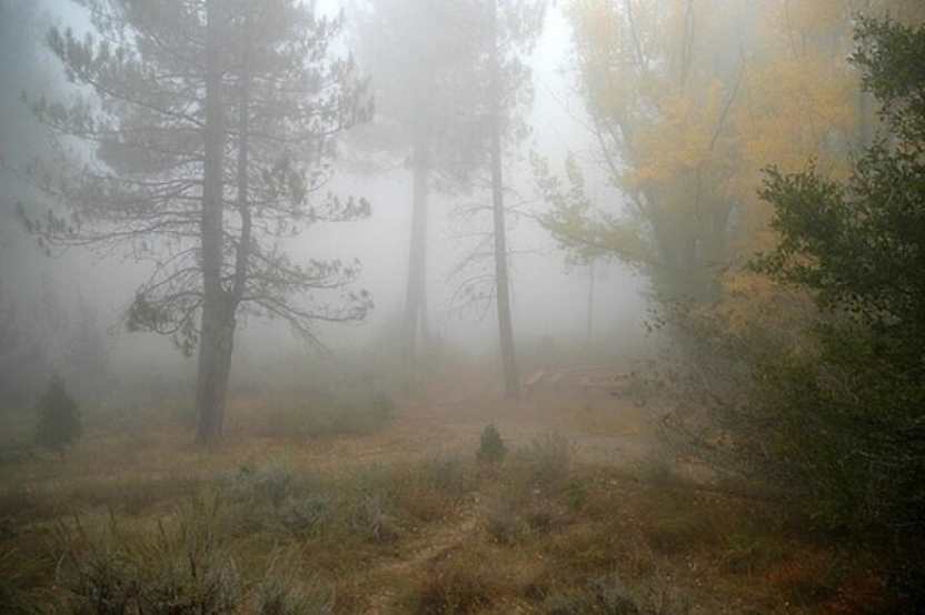 New Mexico weather alert: Dense fog and snow expected along I-40 this week