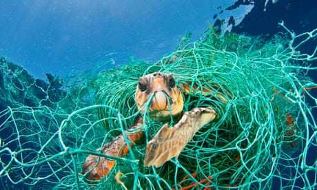 New study reveals �staggering� scale of lost fishing gear drifting in Earth�s oceans