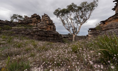 NSW national parks bill passes parliament after controversial elements removed