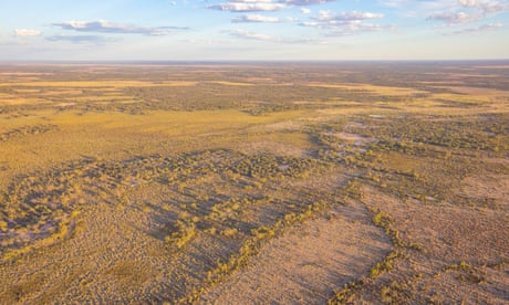 NSW to add two wetlands to national parks under 33,000ha land purchase