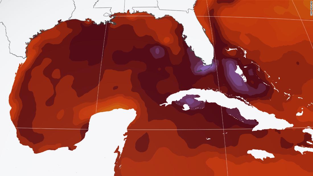 Ocean heat around Florida is 'unprecedented,' and scientists are warning of major impacts