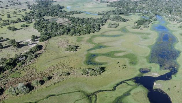 Off the Grid in South America: Brazil's Pantanal