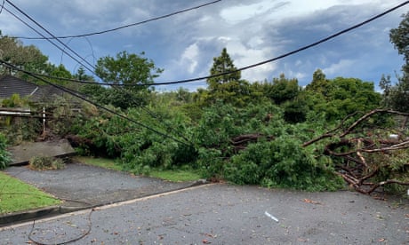 One woman dies and two critically injured after a tree falls during Sydney storm