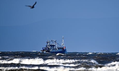 Orange roughy: campaigners call for limit to trawling of species after breeding age of 73 revealed