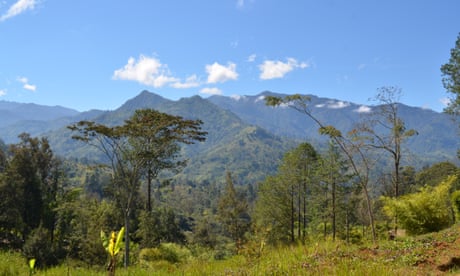 Papua New Guinea police launch rescue operation to find kidnapped Australian professor