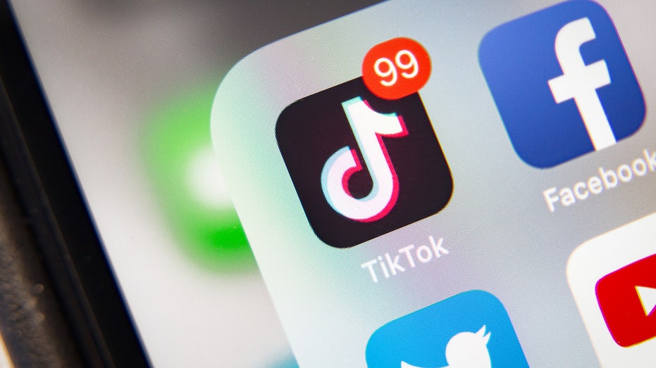 Privacy groups, experts, parents laud SCOTUS TikTok ban while others slam decision as 'anti-democratic'