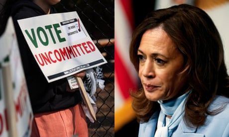 Progressives must walk a fine line: end the war in Gaza and elect Harris | Judith Levine