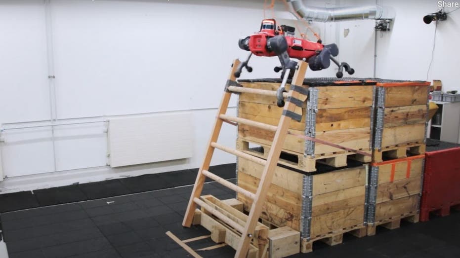 Quadruped robot climbs ladders, creeps us out