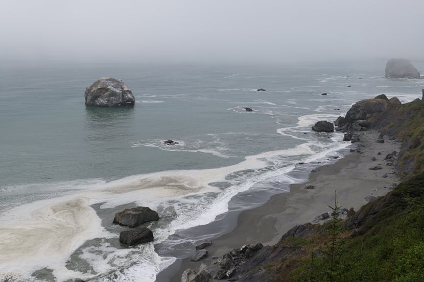 Santa Cruz Pier Collapse Impacts Beaches Leading to Closures, Hazards, and High Surf Advisory: Updated New Year Travel Alert