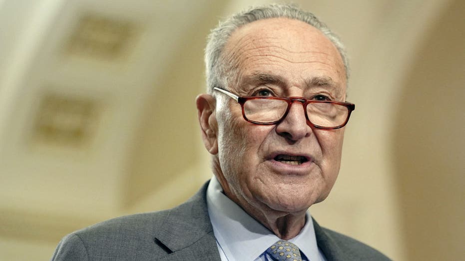 Schumer says Dems must 'look in the mirror' after losing White House, Senate: 'We did some things wrong'