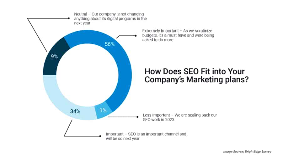 Search and SEO in 2023: What do the experts predict?