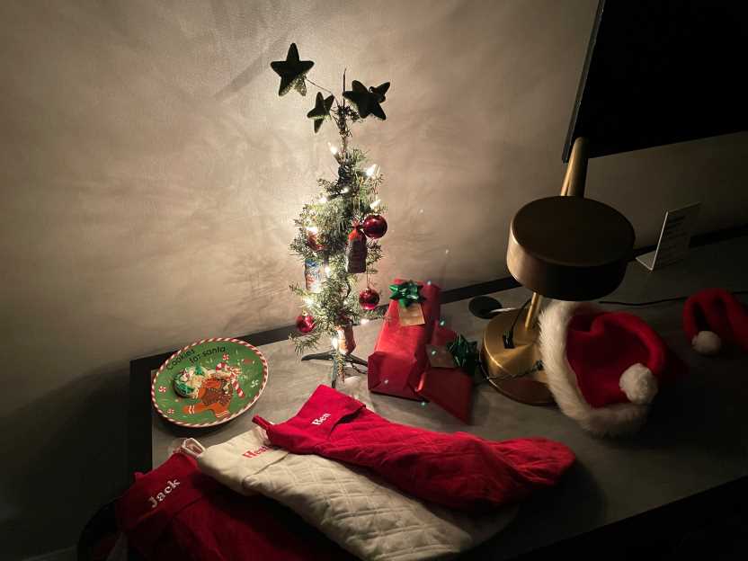 Severe weather and airport delays disrupt Christmas travel across the US: New updates for you to know