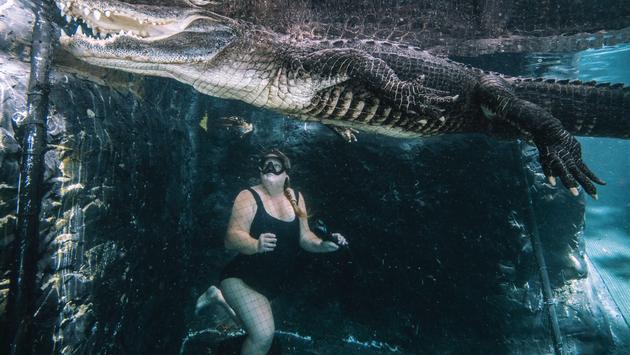 Shark Diving, Cave Swimming and Unique Adventures in Florida