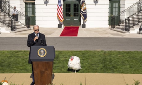 Still alive: American democracy, Biden’s bad jokes - and two turkeys