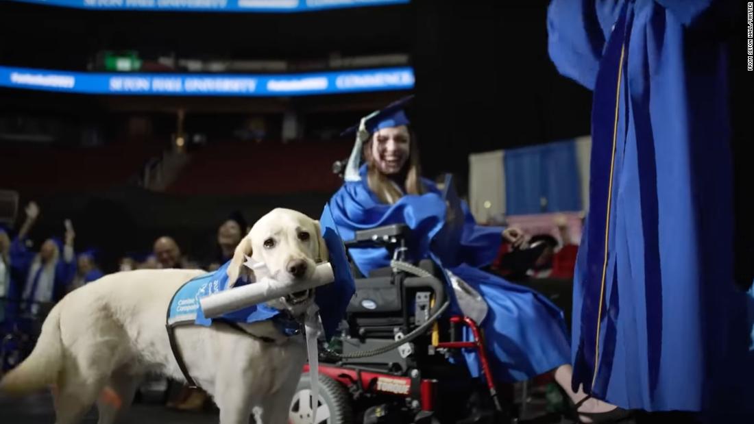 Student's service dog receives diploma at New Jersey graduation ceremony