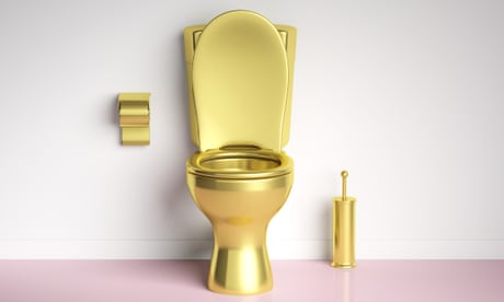 Super poo: the emerging science of stool transplants and designer gut bacteria