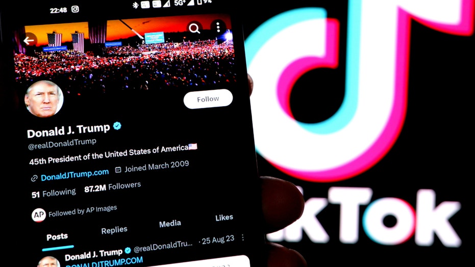 Supreme Court appears skeptical of blocking US ban on TiKTok: What to know