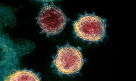 T-cells can fight Omicron when antibodies fail to, Australian researchers say