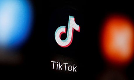 TikTok ‘frog army’ stunt could have grave consequences, experts warn
