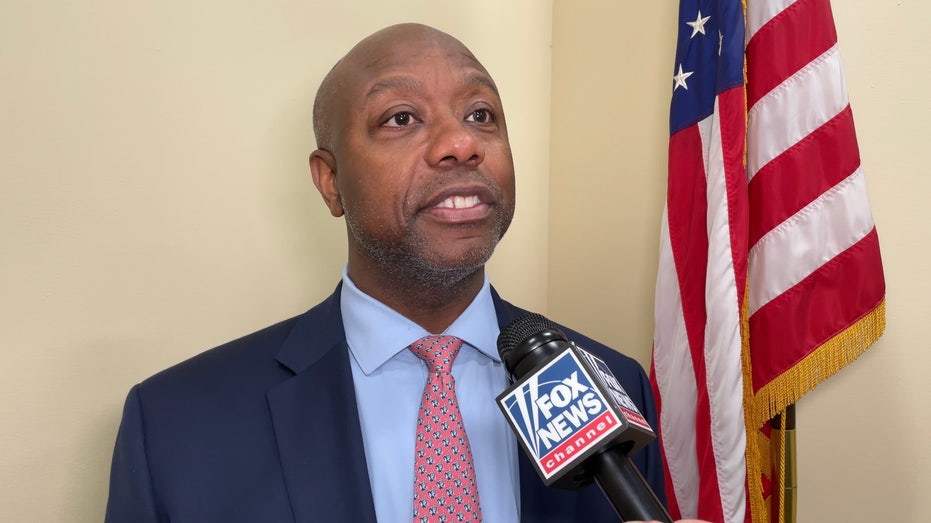 Top political handicapper reveals what Dems' chances are at winning back the Senate in 2026