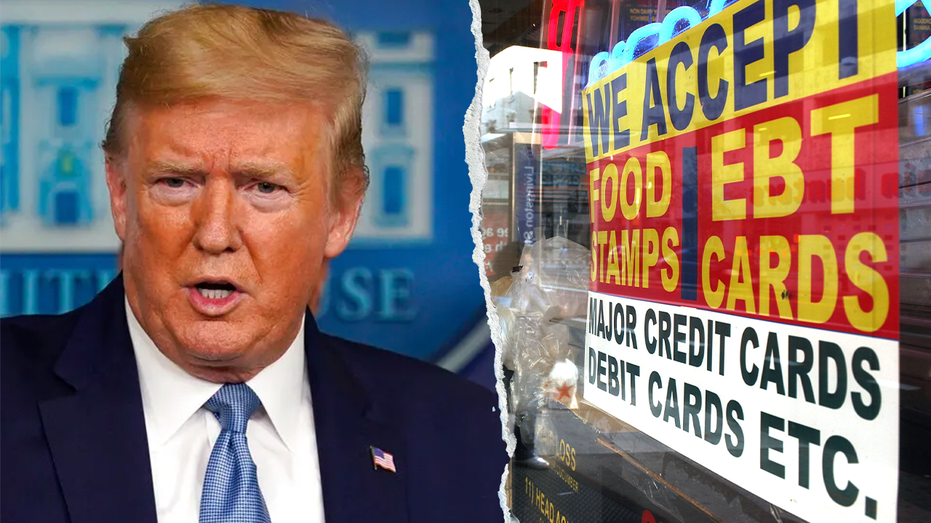 Top Trump official moves to block illegal immigrants from receiving food stamps: 'Follow the law, full stop'