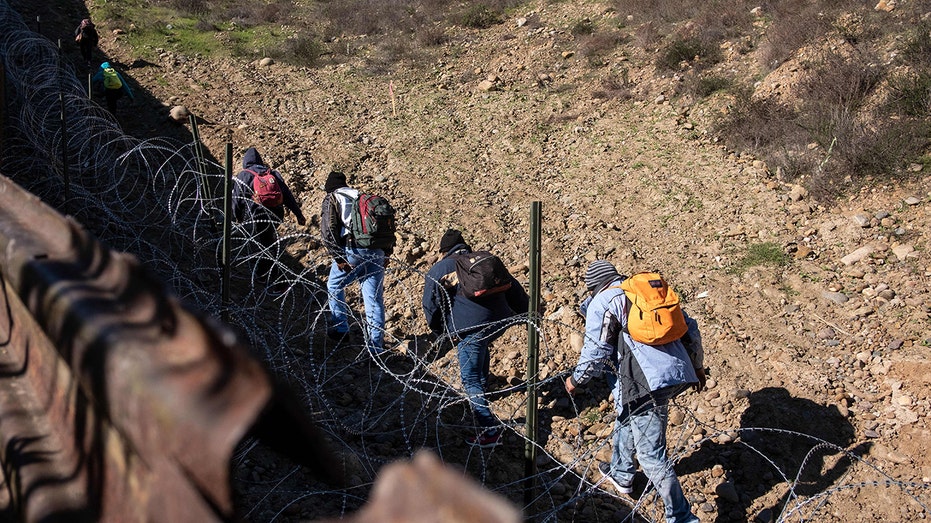 'Trojan horse' amendment could allow illegals to vote, New York experts say