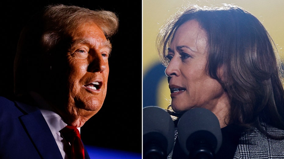 Trump claims Harris runs 'a campaign of absolute hate' following backlash to Madison Square Garden rally