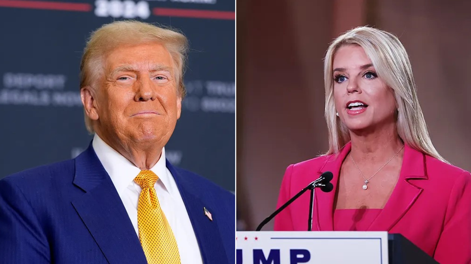 Trump hit for hiring loyalists like Pam Bondi: Doesn't every president do that?