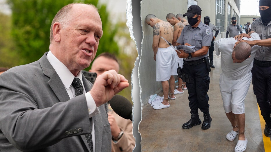 Trump's border czar tells illegal immigrants they 'cannot hide from ICE' amid mass deportation agenda
